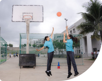 Basketball court